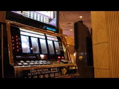 50 Royal Vegas Casino의 무료 스핀 카지노